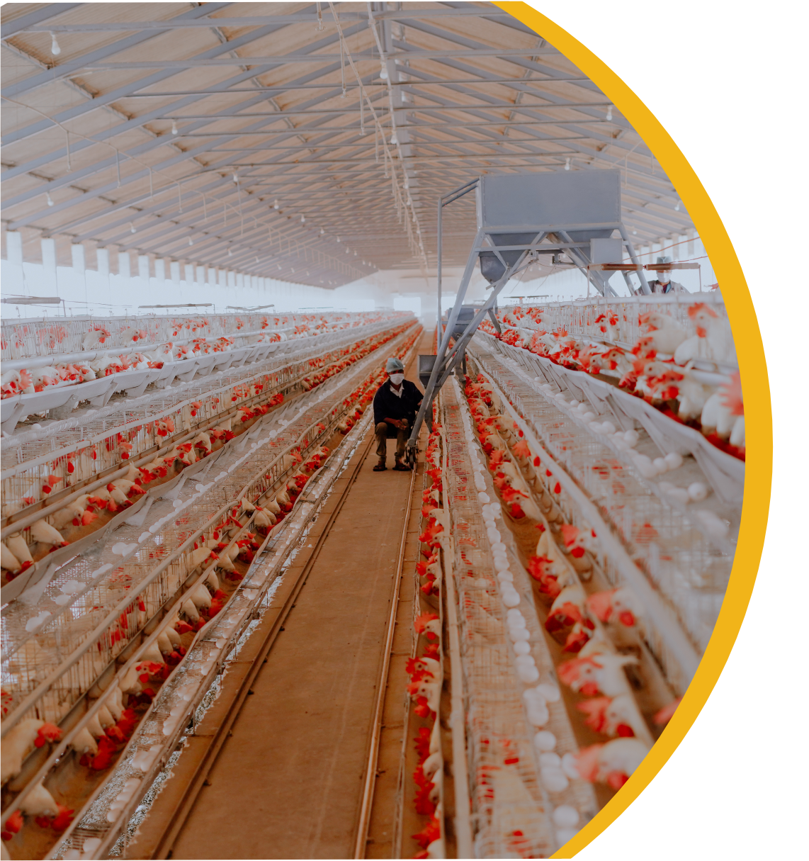 Sri Lakshmi Poultry Complex Pvt Ltd
