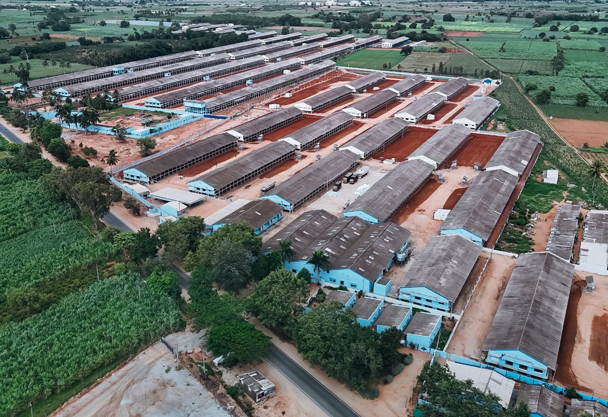 Sri Lakshmi Poultry Complex Pvt Ltd